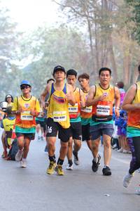 BIB: 16264, 4709, 16183
                            <button type="button" onclick="openModal(10412005)" class="btn btn-primary btn-sm float-right btn-popup" data-toggle="modal" data-target=".modal-high-quality">
                        <i class="fas fa-shopping-cart"></i> Add to Cart
                    </button>
                                            <button type="button" onclick="isThisMe(10412005, true)" class="btn btn-success btn-sm float-right btn-popup btn-isme hidden" data-toggle="tooltip" data-placement="bottom" title="นี่คือรูปของคุณใช่ไหม คลิกที่นี่เพื่อเอาเข้าอัลบั้ม">
                        <i class="fas fa-plus"></i> Add to album
                    </button>
                    <button type="button" onclick="isThisMe(10412005, false)" class="btn btn-warning btn-sm float-right btn-popup btn-isnotme hidden">
                        <i class="fas fa-ban"></i> Remove from album
                    </button>